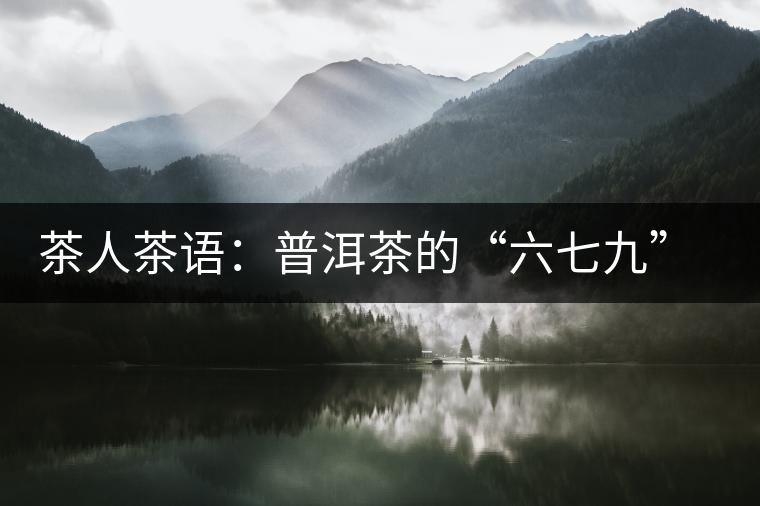 茶人茶語：普洱茶的“六七九” 你知道嗎？