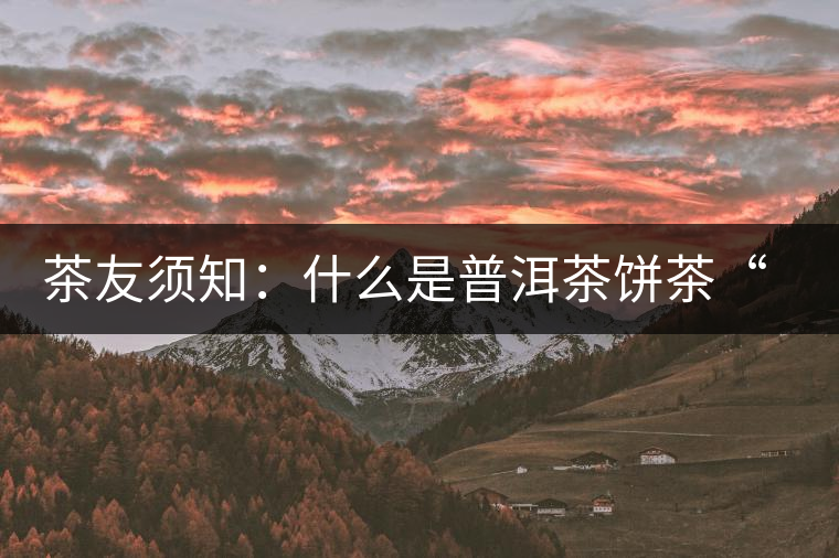 茶友須知：什么是普洱茶餅茶“八病”？如何鑒別？