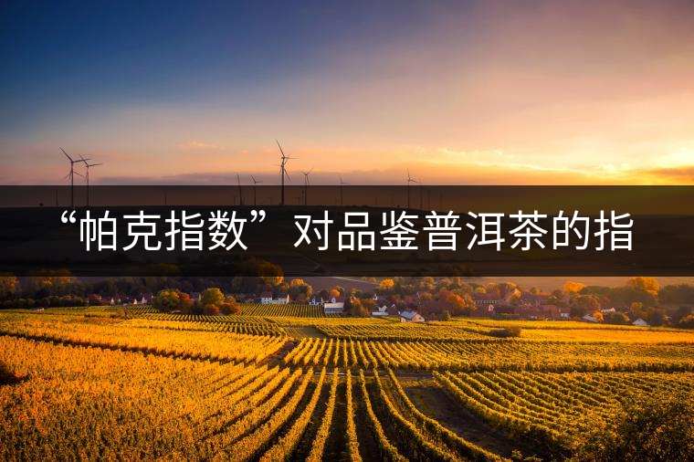 “帕克指數(shù)”對品鑒普洱茶的指導(dǎo)意義在哪里？「跨界有道」