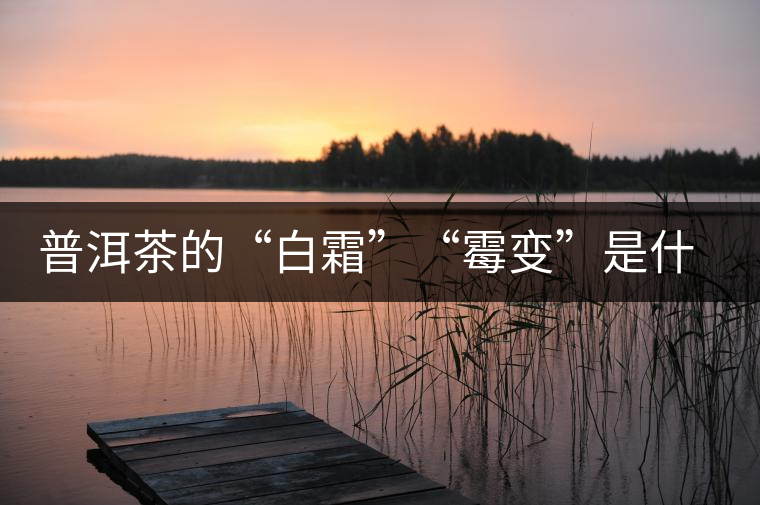 普洱茶的“白霜”“霉變”是什么鬼？