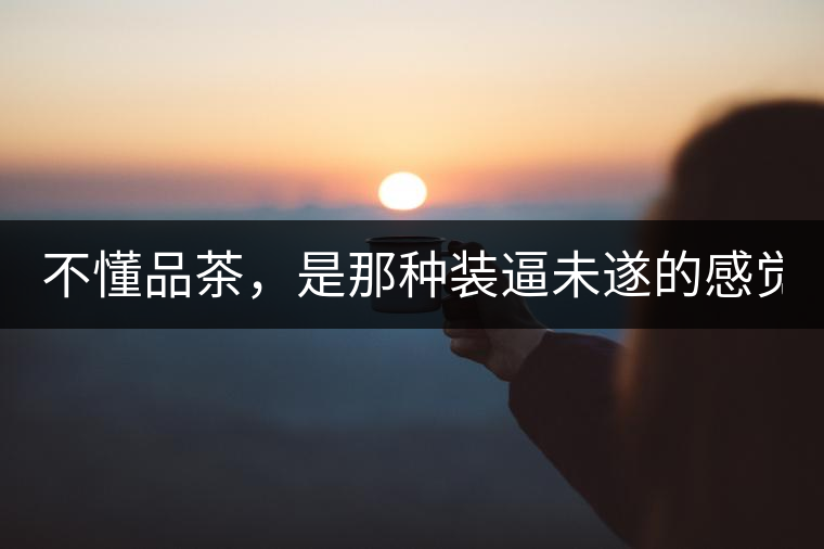 不懂品茶，是那種裝逼未遂的感覺？