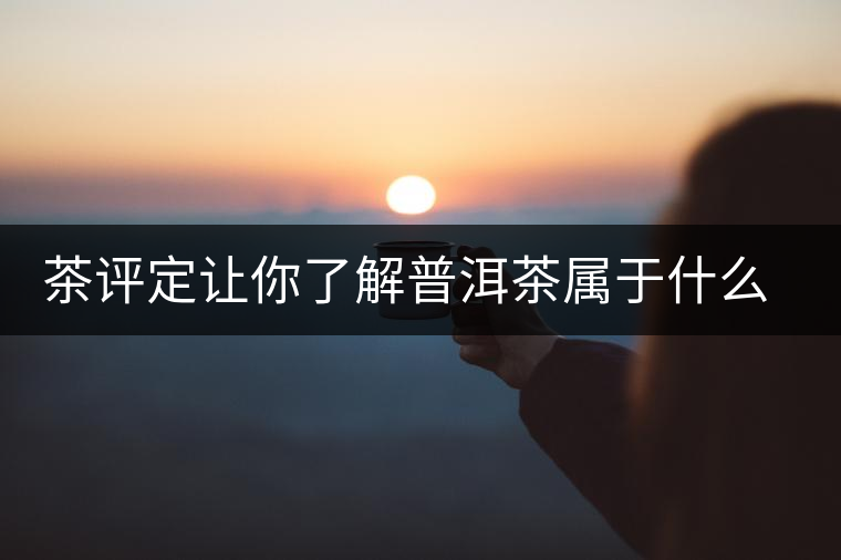 茶評定讓你了解普洱茶屬于什么茶系？