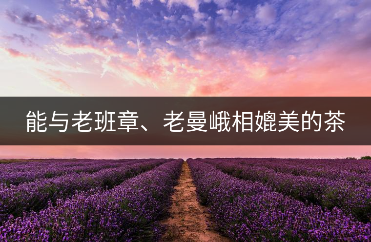 能與老班章、老曼峨相媲美的茶