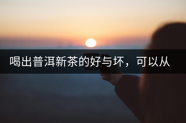 喝出普洱新茶的好與壞，可以從這五點(diǎn)出發(fā)