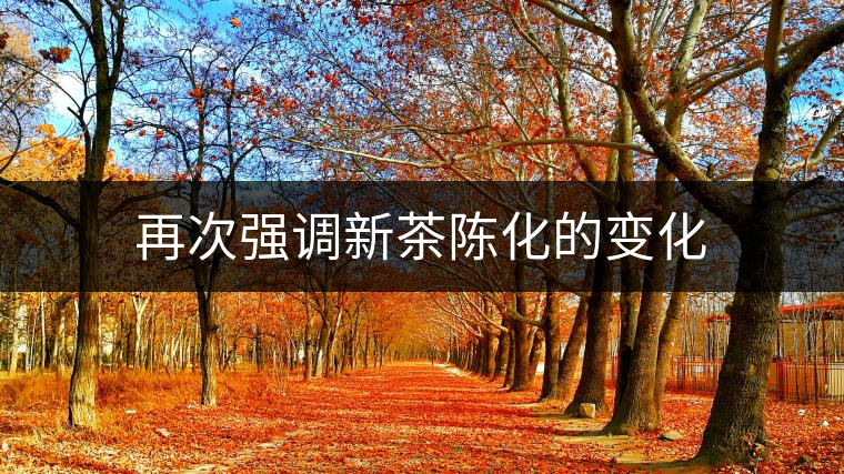 再次強調(diào)新茶陳化的變化 再次強調(diào)新茶陳化的變化