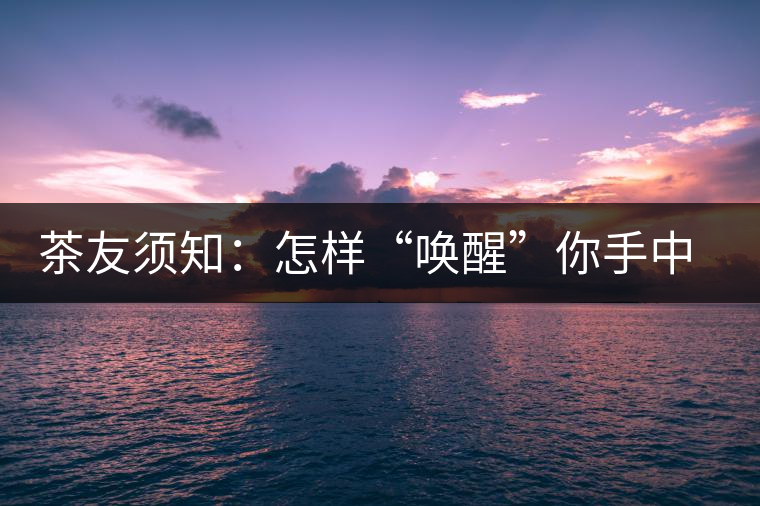 茶友須知：怎樣“喚醒”你手中的那一餅普洱茶？