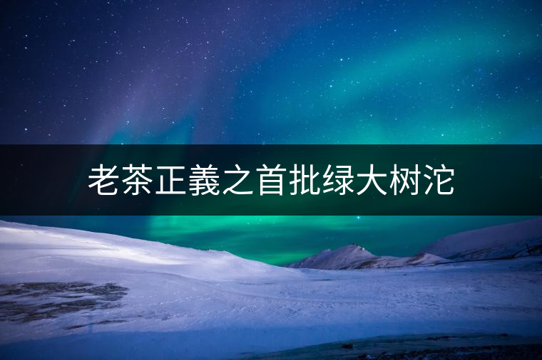 老茶正義之首批綠大樹沱