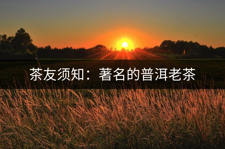 茶友須知:著名的普洱老茶 茶友須知:著名的普洱老茶