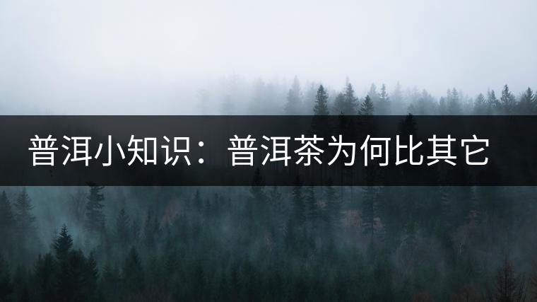 普洱小知識(shí)：普洱茶為何比其它茶葉耐泡？