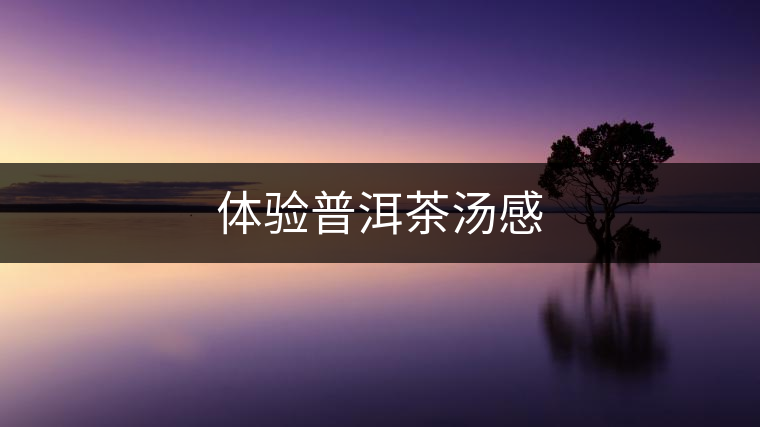 體驗普洱茶湯感
