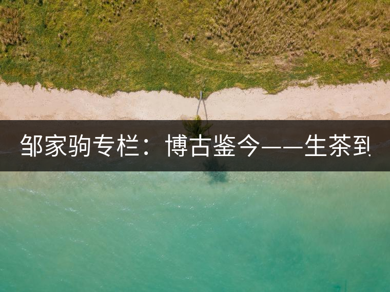 鄒家駒專欄：博古鑒今——生茶到底是不是普洱茶？