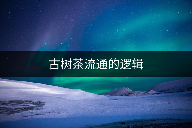 古樹(shù)茶流通的邏輯 古樹(shù)茶流通的邏輯