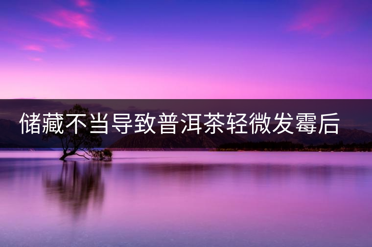 儲(chǔ)藏不當(dāng)導(dǎo)致普洱茶輕微發(fā)霉后如何處理？
