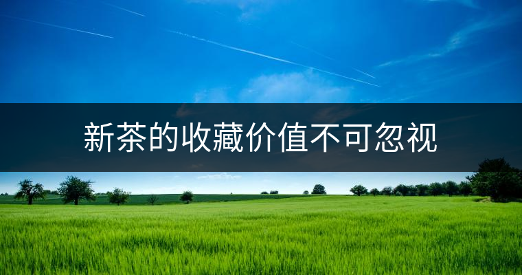 新茶的收藏價(jià)值不可忽視 新茶的收藏價(jià)值不可忽視