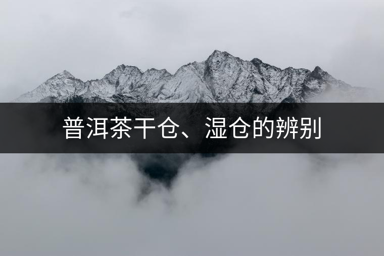 普洱茶干倉、濕倉的辨別