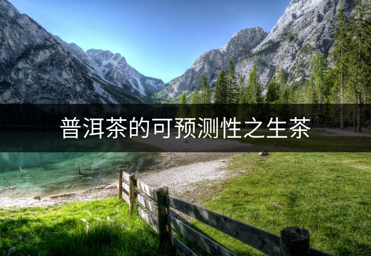 普洱茶的可預(yù)測性之生茶 普洱茶的可預(yù)測性之生茶