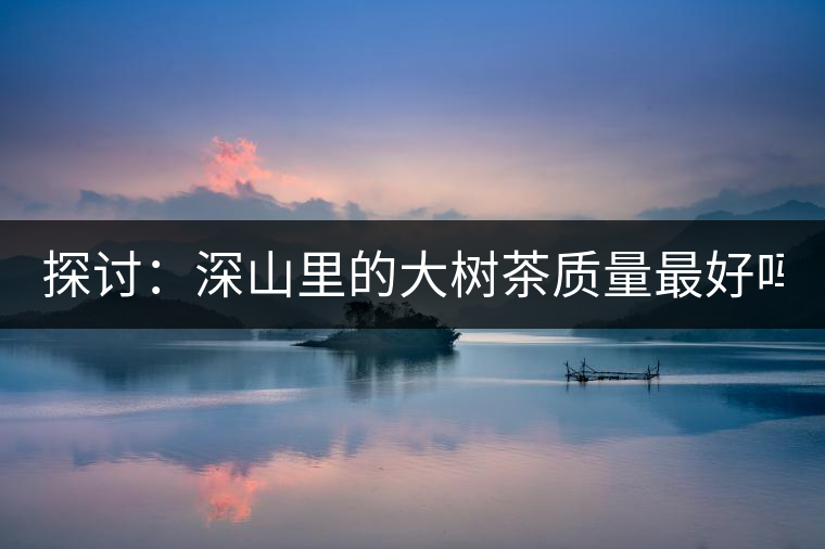 探討：深山里的大樹茶質(zhì)量最好嗎？