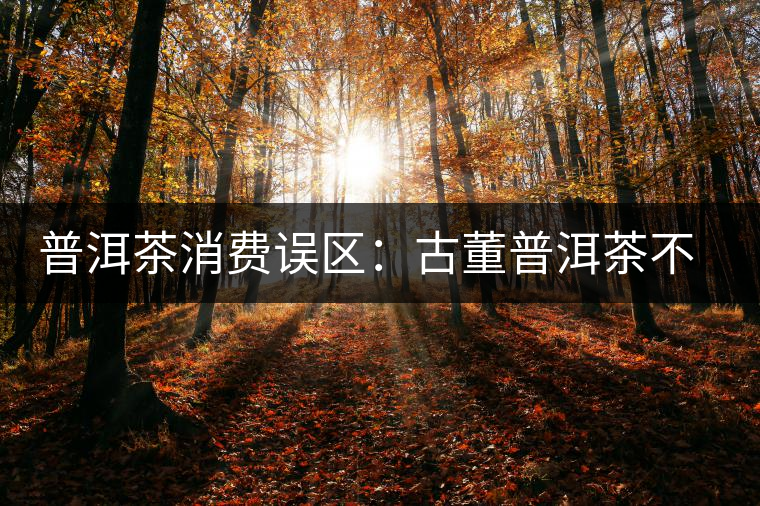 普洱茶消費(fèi)誤區(qū)：古董普洱茶不是越老越值錢(qián)