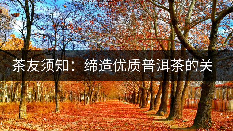 茶友須知：締造優(yōu)質(zhì)普洱茶的關(guān)鍵