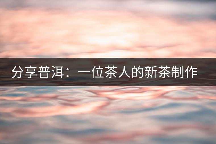 分享普洱：一位茶人的新茶制作思路