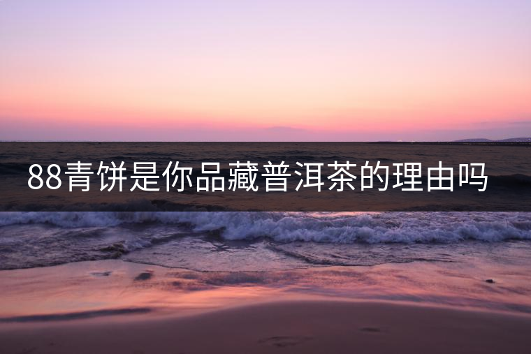 88青餅是你品藏普洱茶的理由嗎？