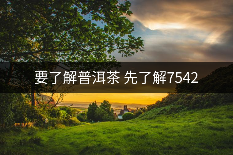 要了解普洱茶 先了解7542 要了解普洱茶 先了解7542