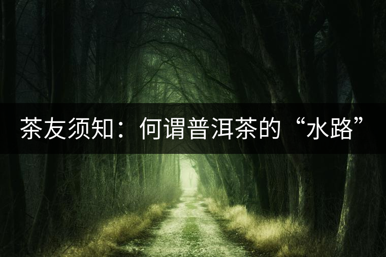 茶友須知：何謂普洱茶的“水路”？