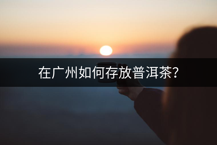 在廣州如何存放普洱茶？
