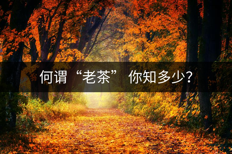 何謂“老茶” 你知多少？