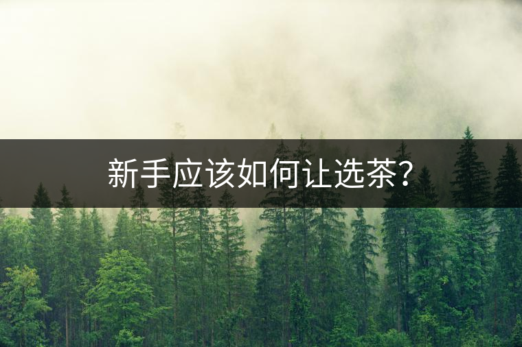 新手應(yīng)該如何讓選茶？