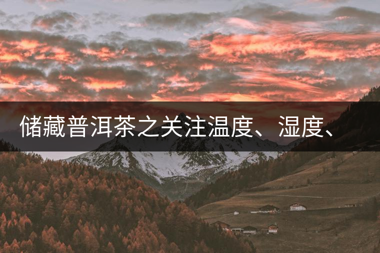 儲(chǔ)藏普洱茶之關(guān)注溫度、濕度、異味因素影響