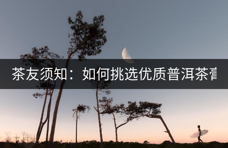 茶友須知：如何挑選優(yōu)質(zhì)普洱茶膏？