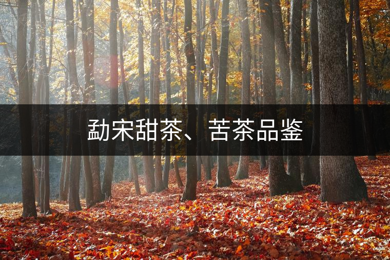 勐宋甜茶、苦茶品鑒