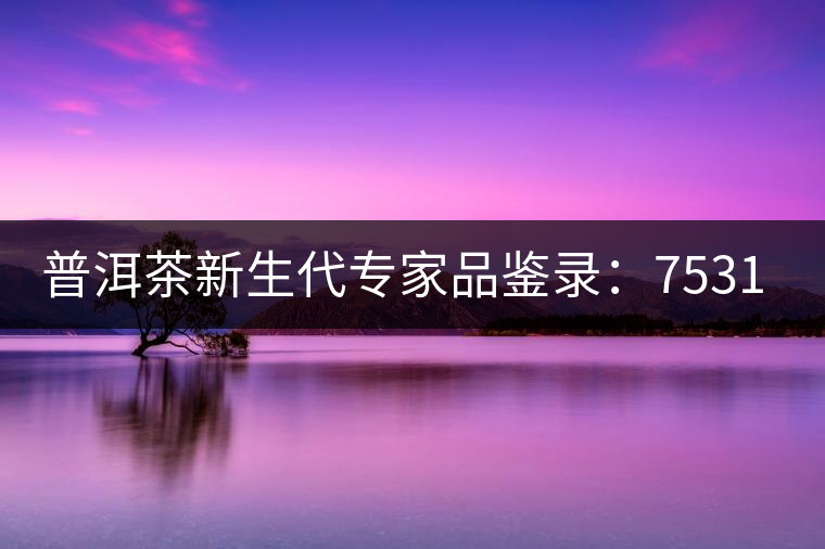 普洱茶新生代專家品鑒錄：7531青餅