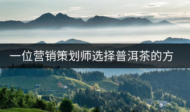 一位營銷策劃師選擇普洱茶的方法