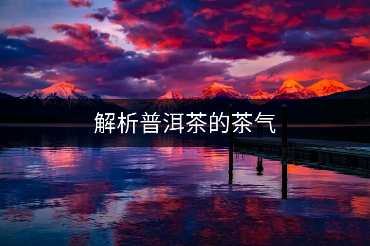 解析普洱茶的茶氣 解析普洱茶的茶氣