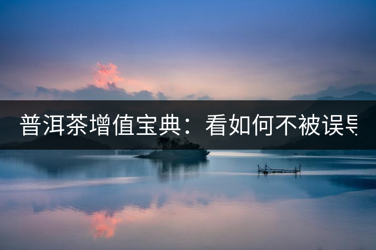 普洱茶增值寶典：看如何不被誤導(dǎo)？
