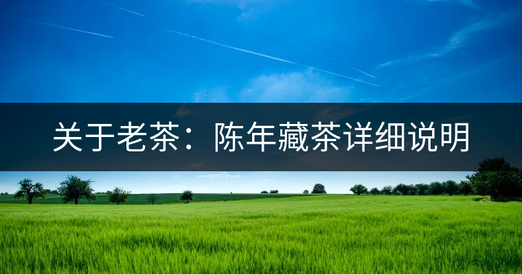 關(guān)于老茶：陳年藏茶詳細說明