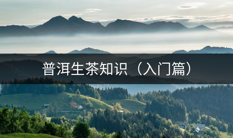 普洱生茶知識(shí)(入門(mén)篇) 普洱生茶知識(shí)(入門(mén)篇)