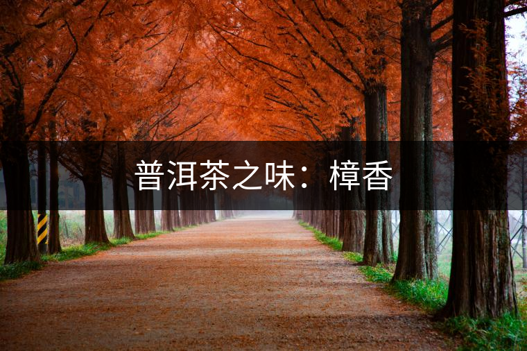 普洱茶之味：樟香