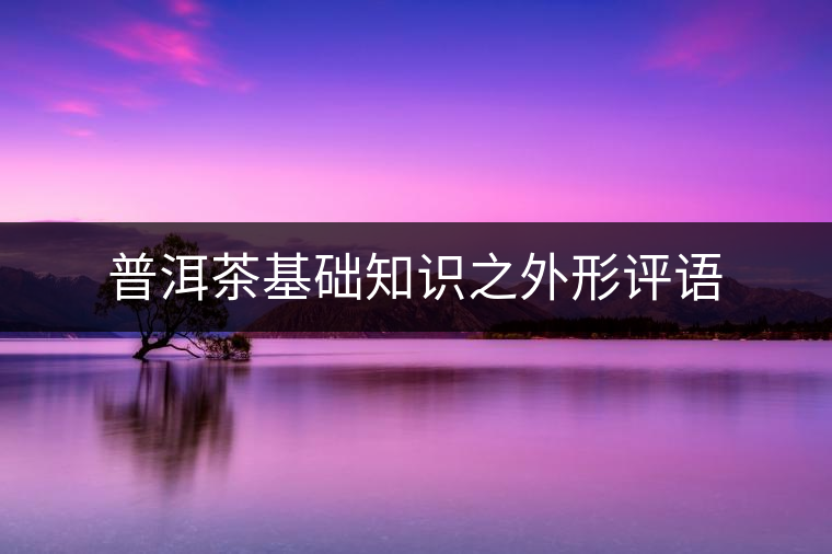 普洱茶基礎(chǔ)知識(shí)之外形評語 普洱茶基礎(chǔ)知識(shí)之外形評語