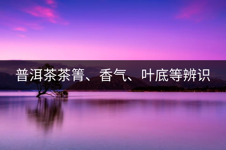 普洱茶茶箐、香氣、葉底等辨識(shí)