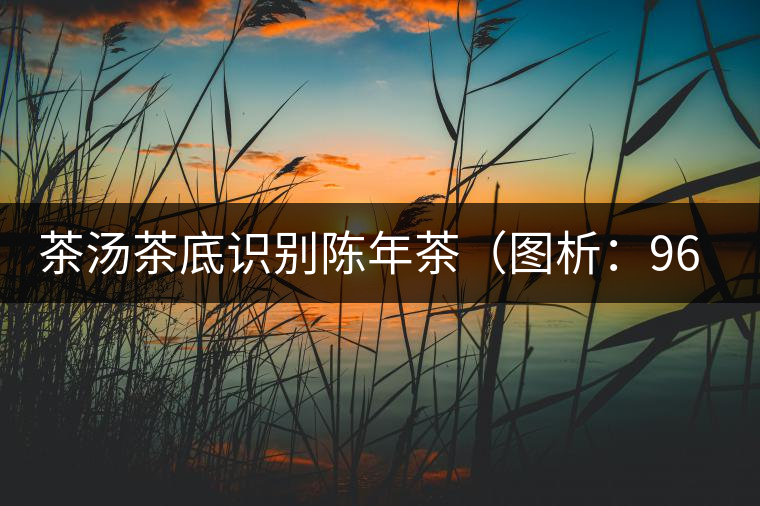 茶湯茶底識別陳年茶(圖析:96年青餅) 茶湯茶底識別陳年茶(圖析:96年青餅)