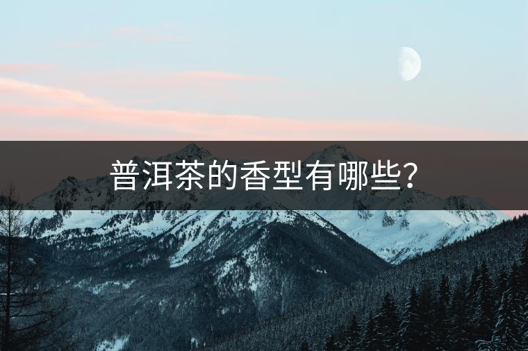 普洱茶的香型有哪些？