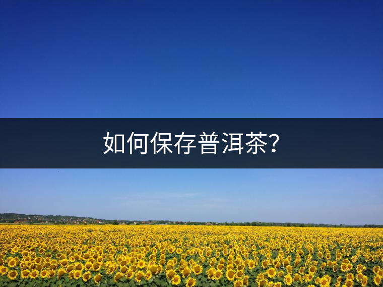如何保存普洱茶？
