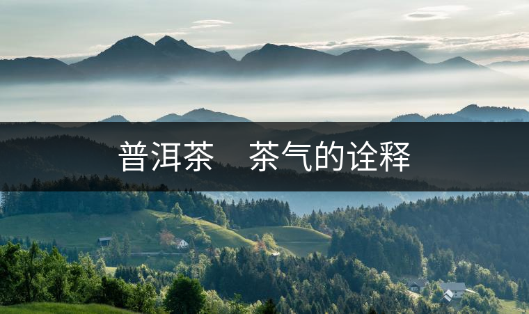 普洱茶　茶氣的詮釋