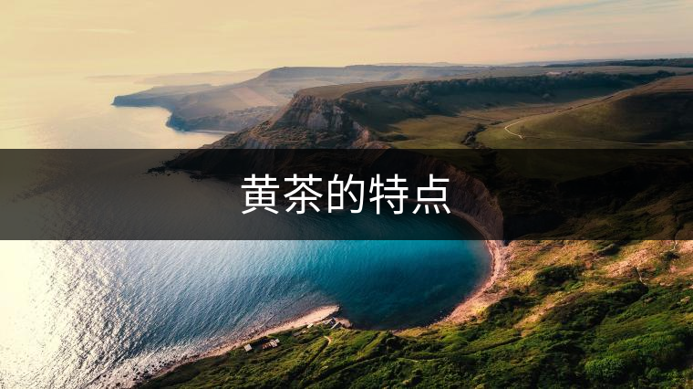 黃茶的特點(diǎn) 黃茶的特點(diǎn)