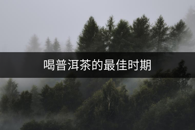 喝普洱茶的最佳時(shí)期 喝普洱茶的最佳時(shí)期