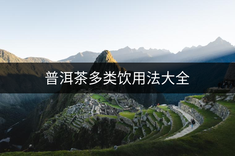 普洱茶多類飲用法大全