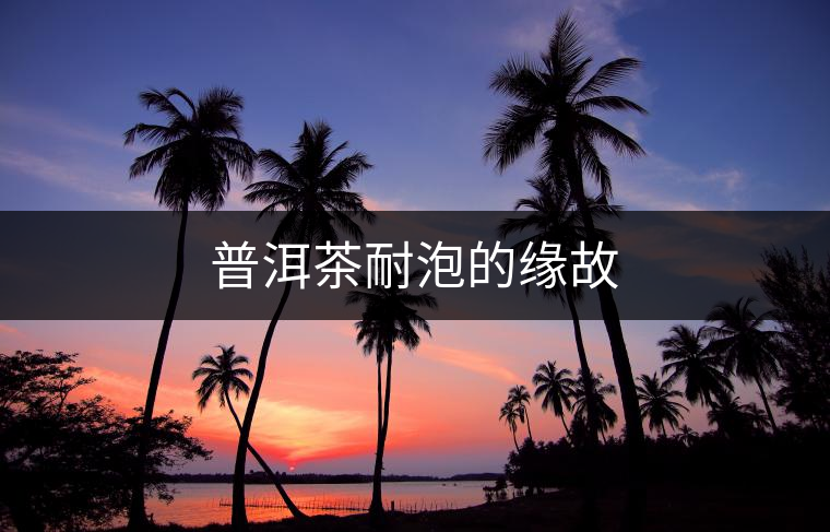普洱茶耐泡的緣故 普洱茶耐泡的緣故